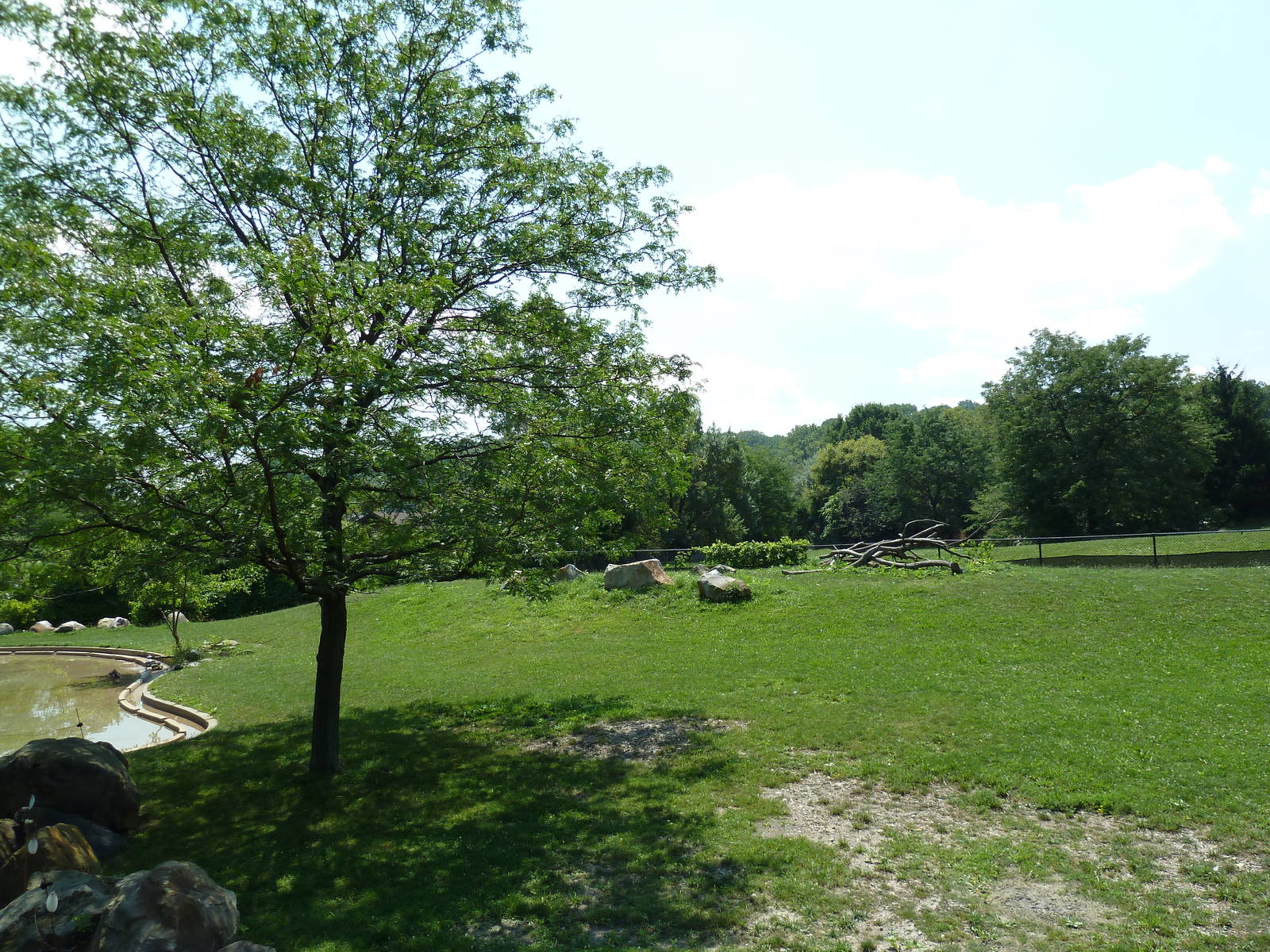 African Savanna - Mixed-Species Exhibit