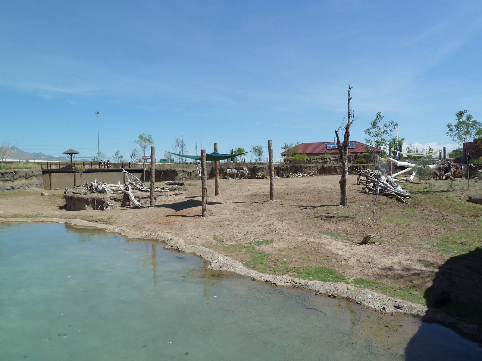 African Savanna - New Exhibit In 2010