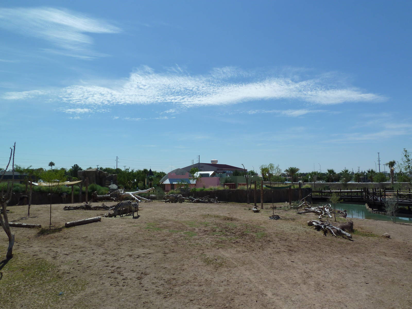 African Savanna - New Exhibit In 2010