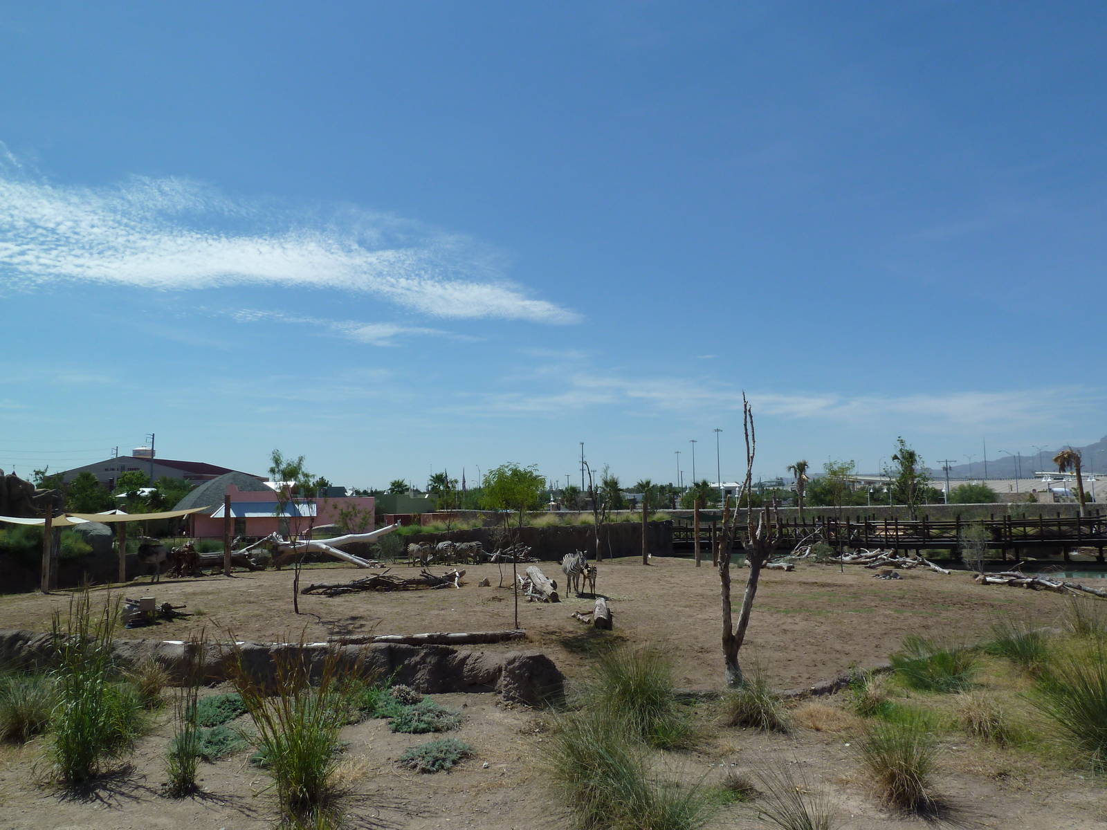 African Savanna - New Exhibit In 2010