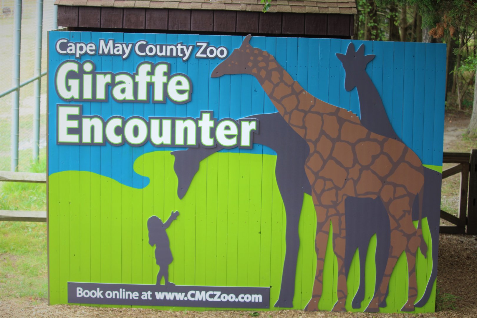 African Savanna - New Giraffe Encounters Sign