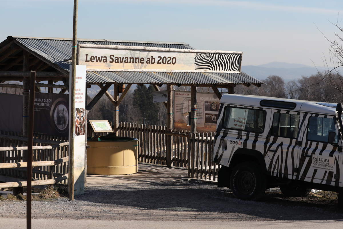 African savanna overlook (2020)