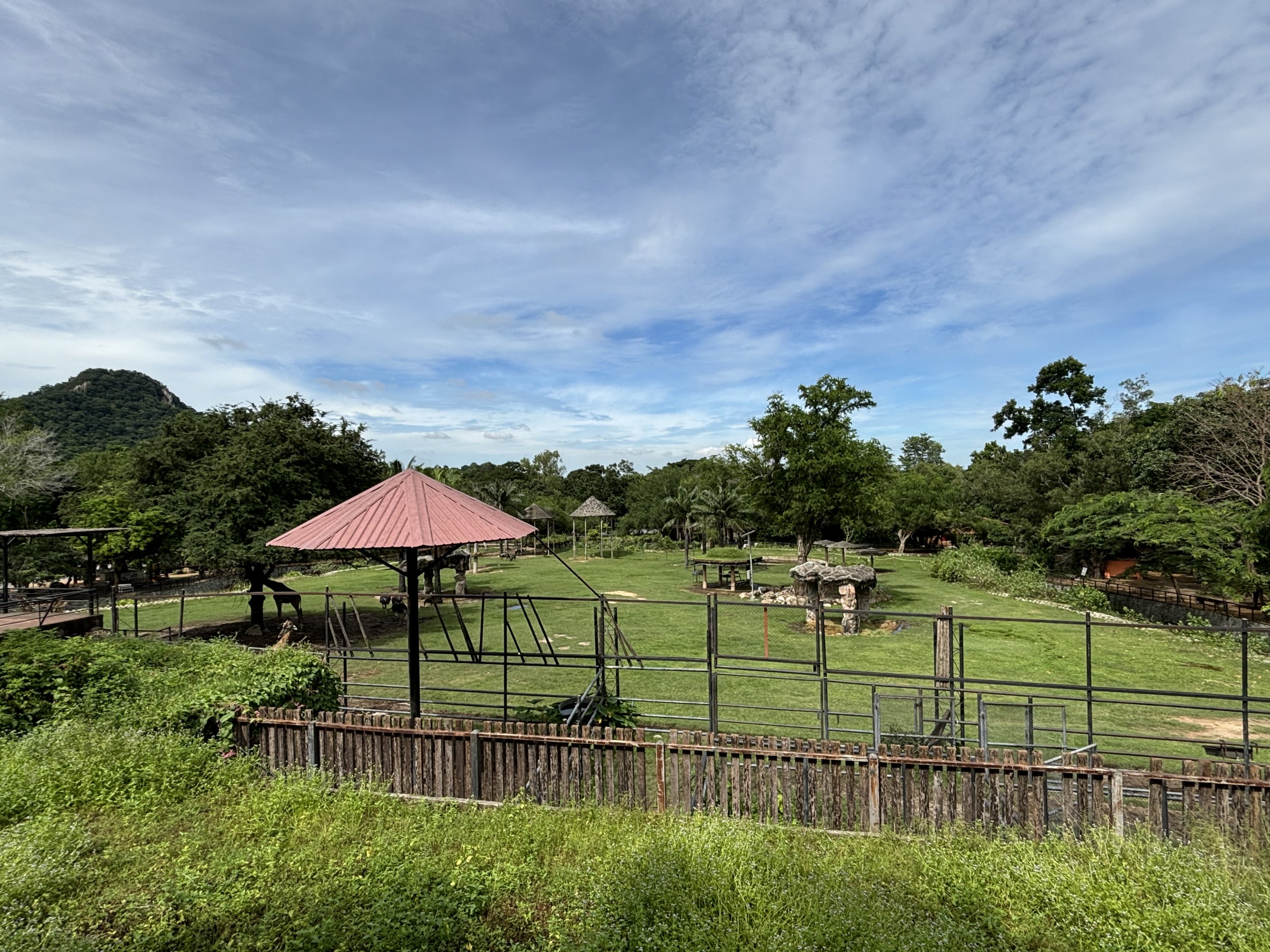 African Savanna - overlook