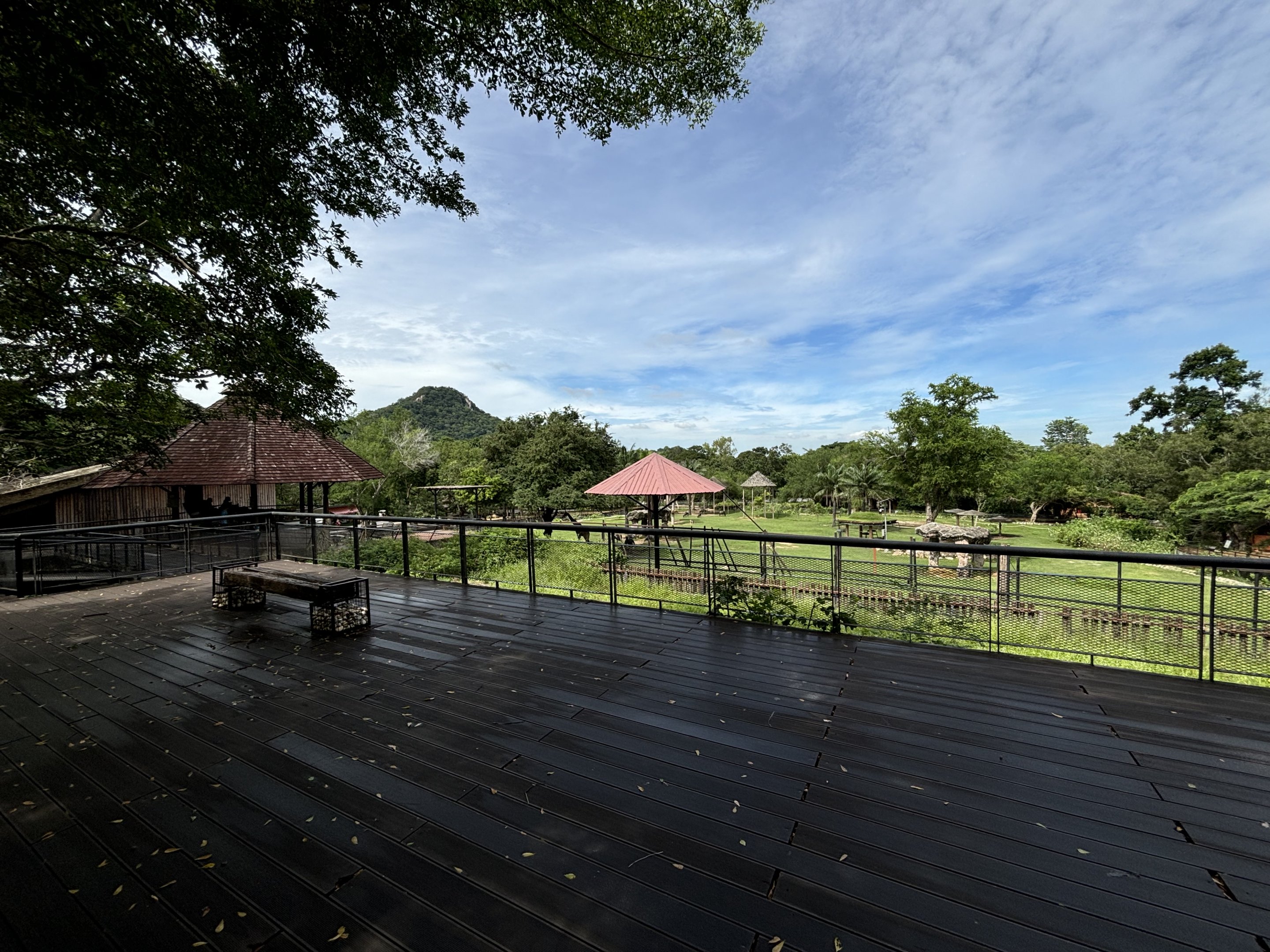 African Savanna - overlook