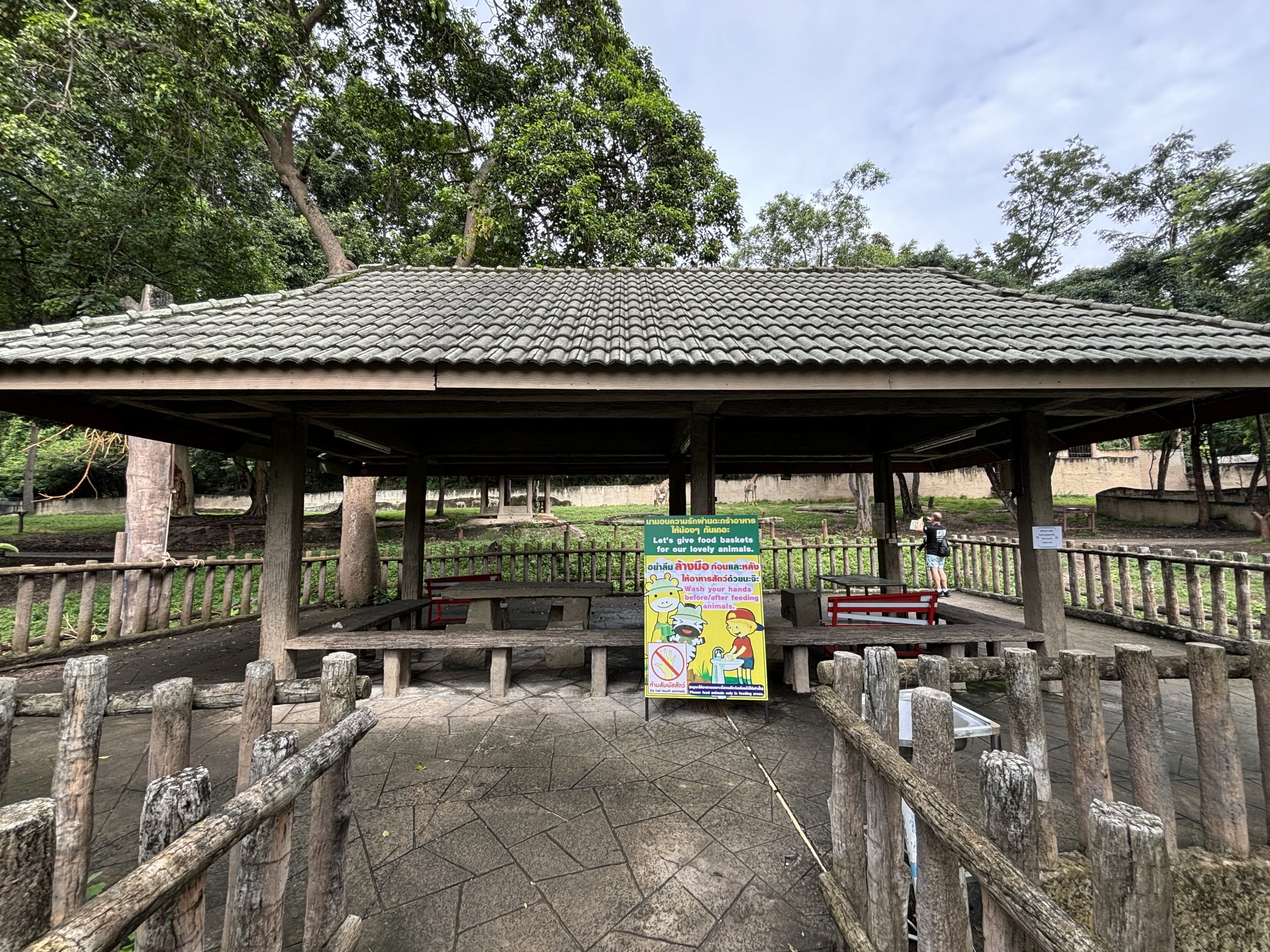 African Savanna - overlook