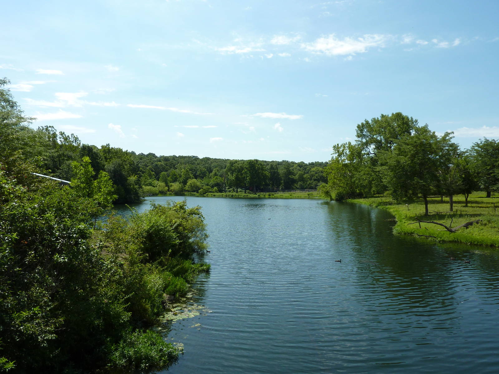 African Savanna Overview