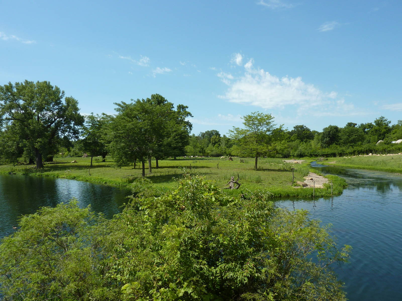 African Savanna Overview