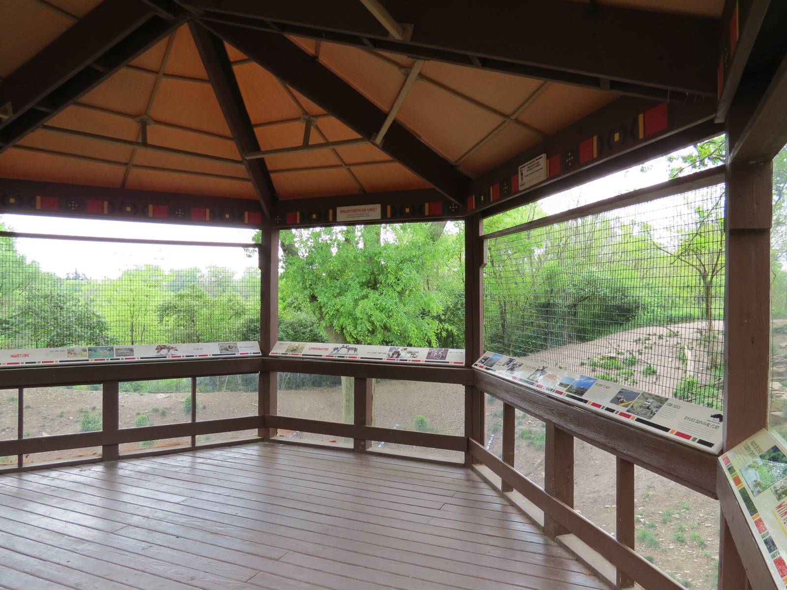 African Savanna - Painted Dog Bush Camp Viewing Shelter (Demolished)