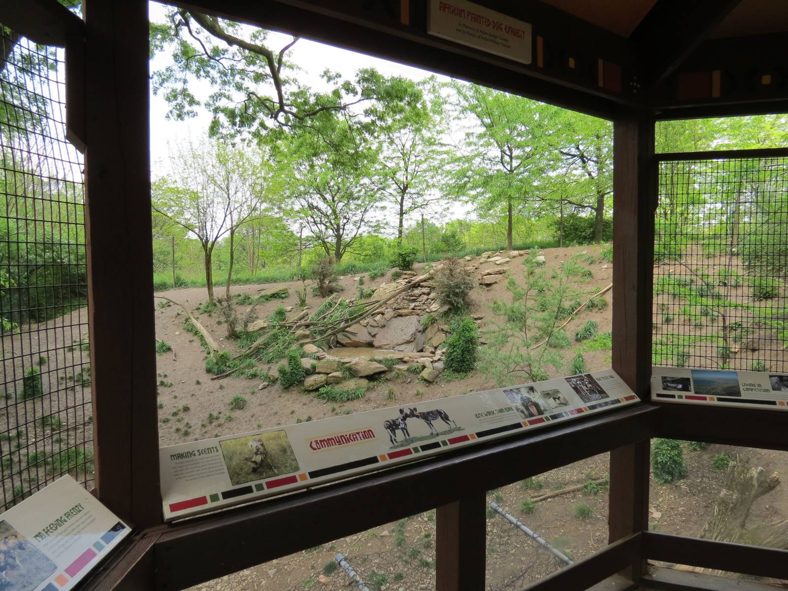 African Savanna - Painted Dog Bush Camp Viewing Shelter (Demolished)