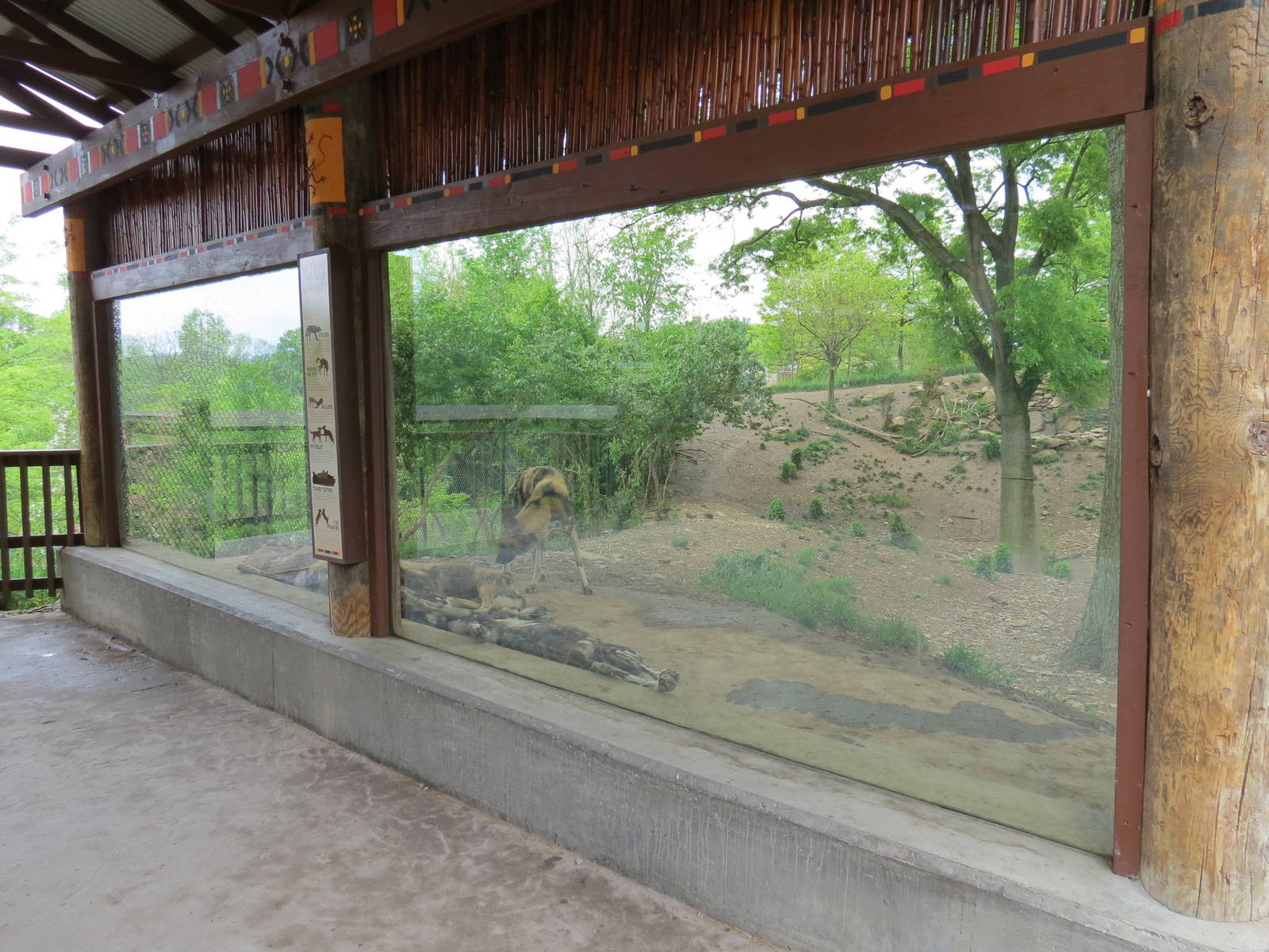 African Savanna - Painted Dog Bush Camp Viewing Shelter