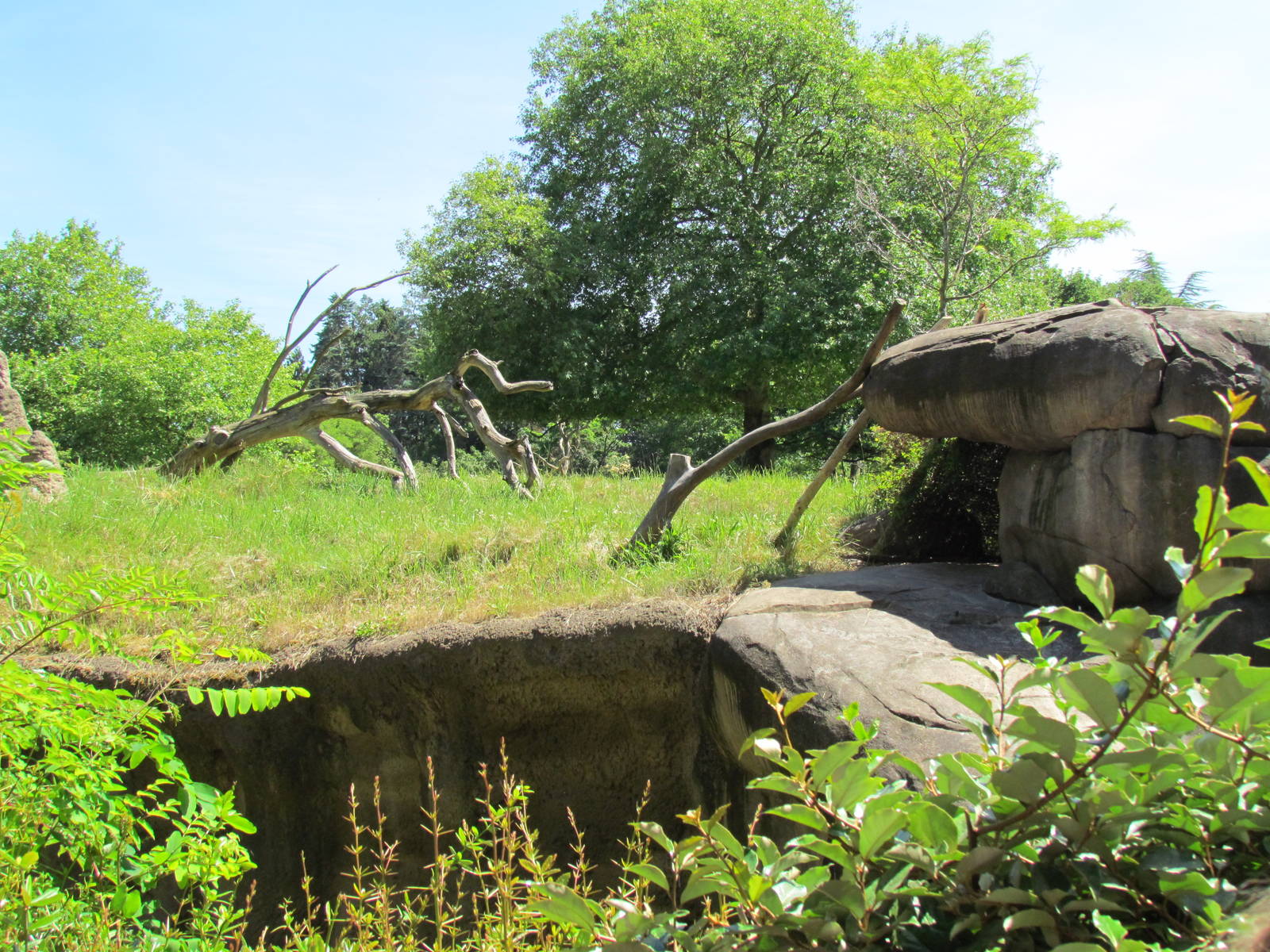 African Savanna - Patas Monkey Exhibit