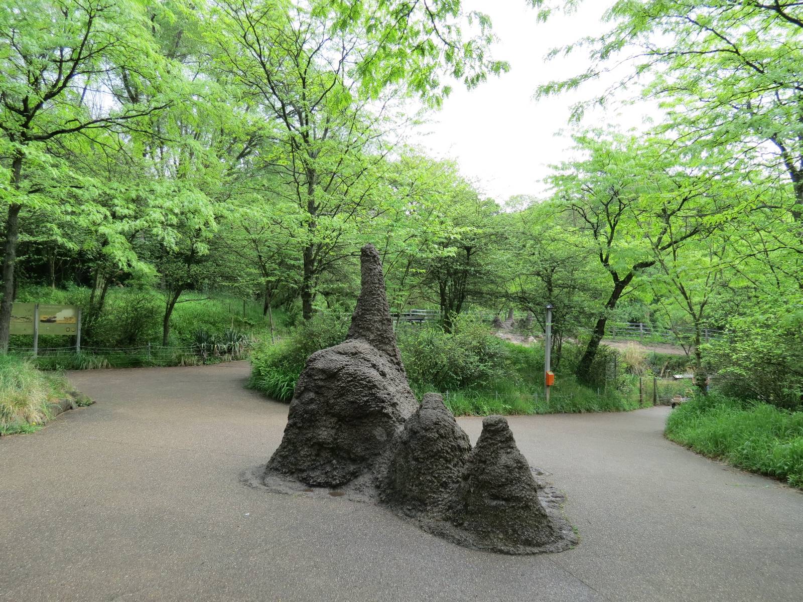 African Savanna - Path