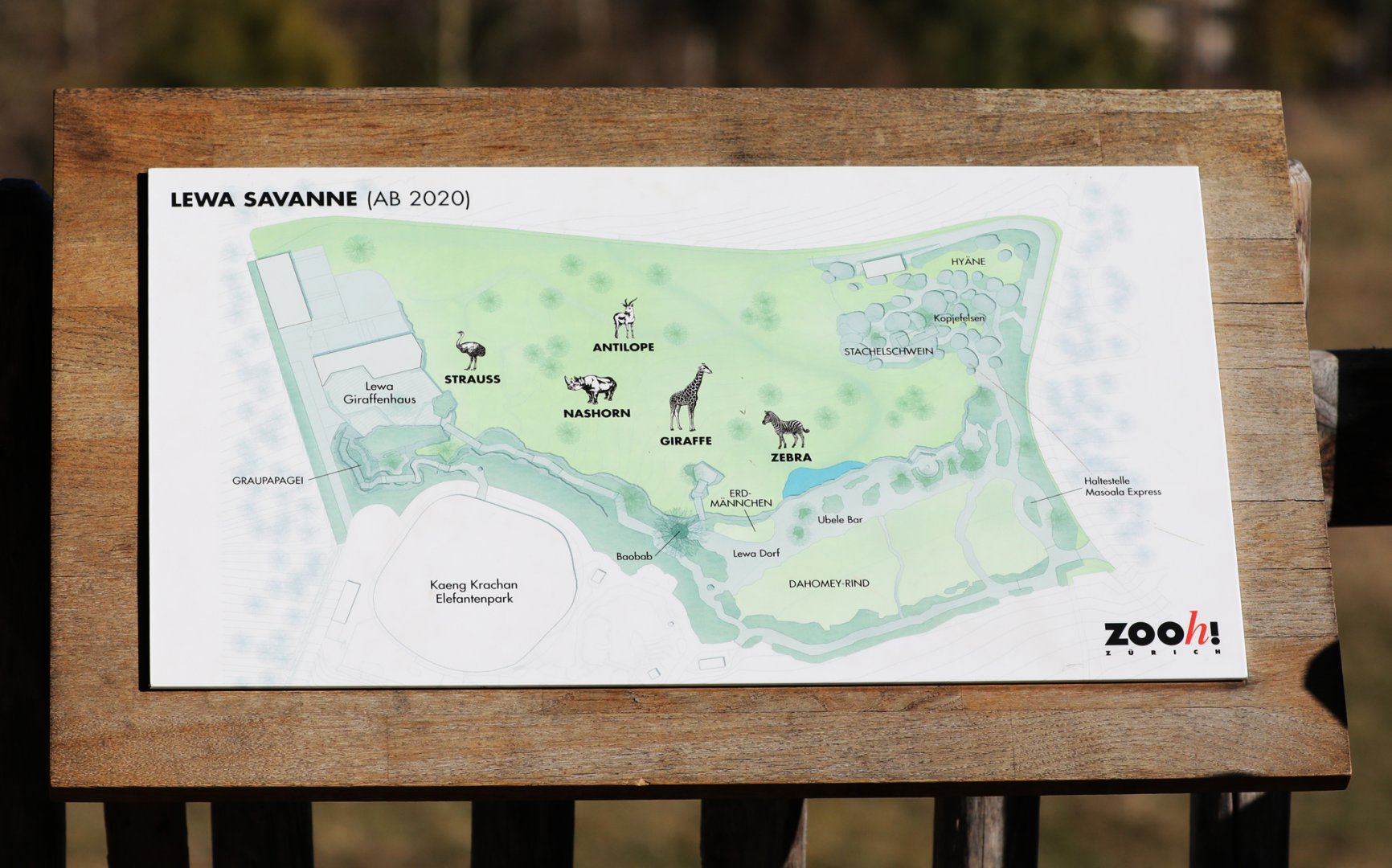 African savanna plans (2020)