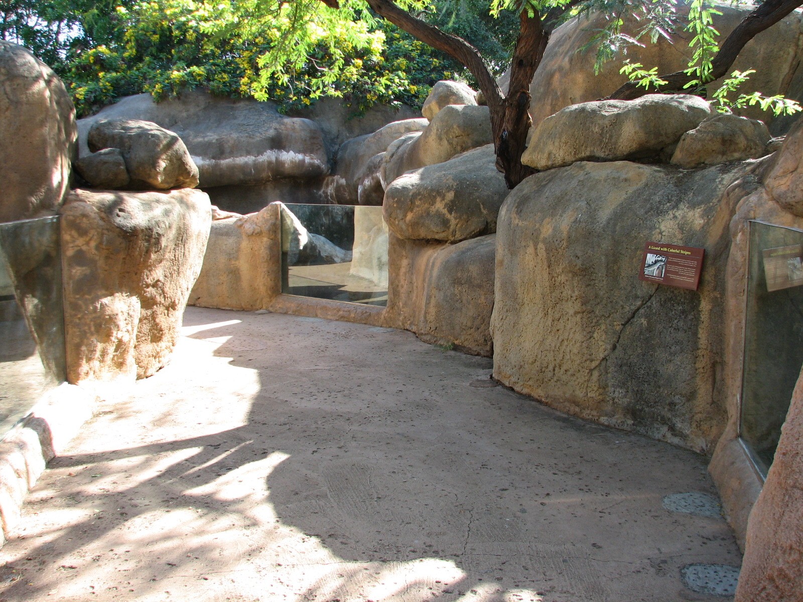 African Savanna Reptile Exhibits