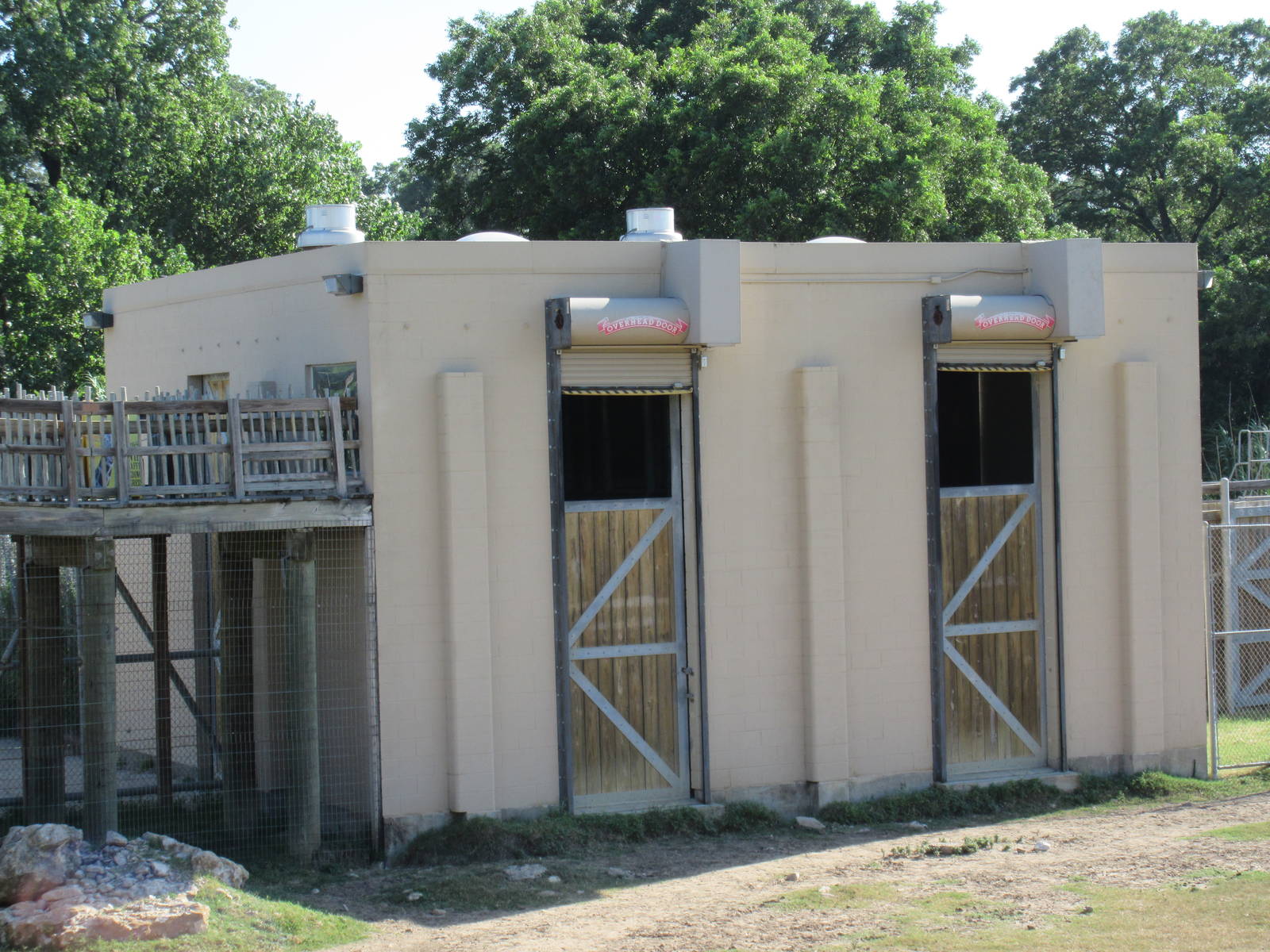 African Savanna - Reticulated Giraffe Barn