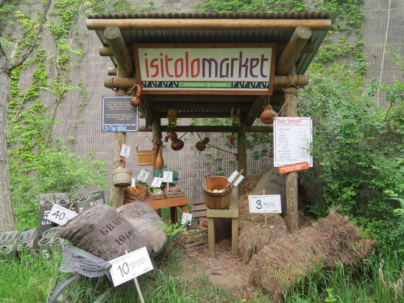 African Savanna - Saba Elephant Reserve Display
