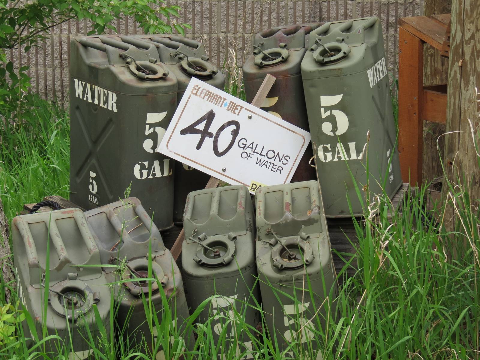 African Savanna - Saba Elephant Reserve Display
