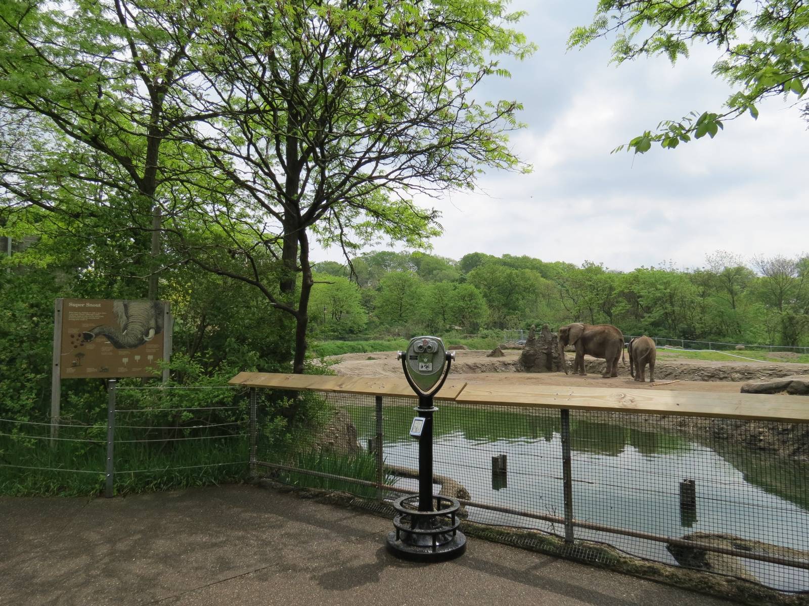 African Savanna - Saba Elephant Reserve Viewing Area