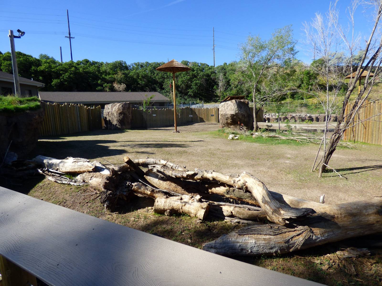 African Savanna - Savanna Side-yard