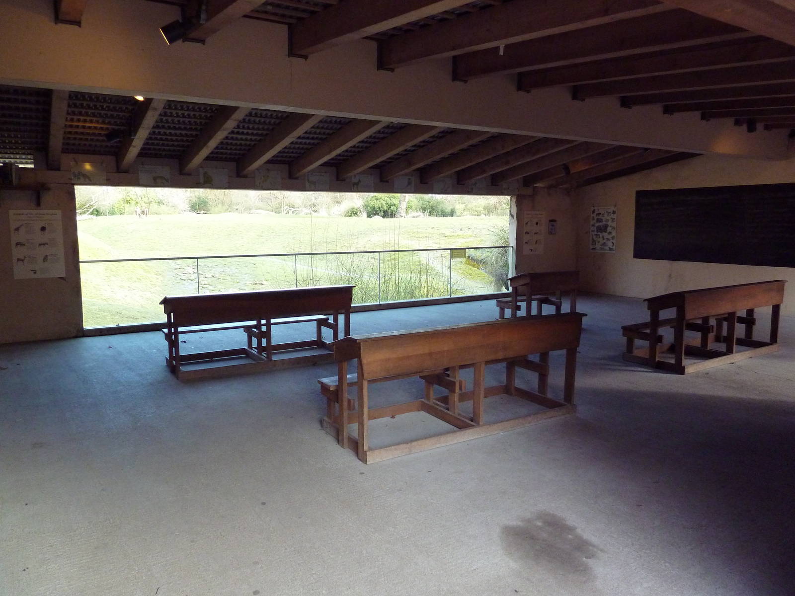 African Savanna - School Viewing Area