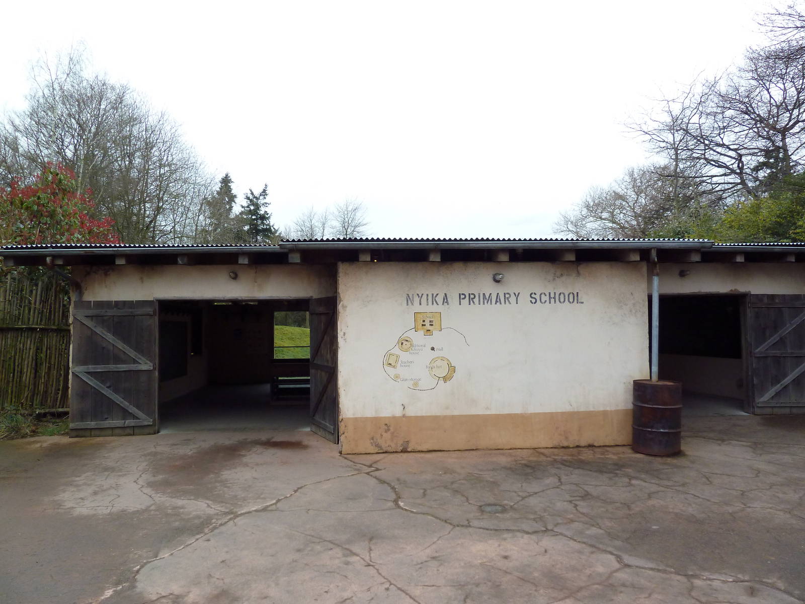 African Savanna - School