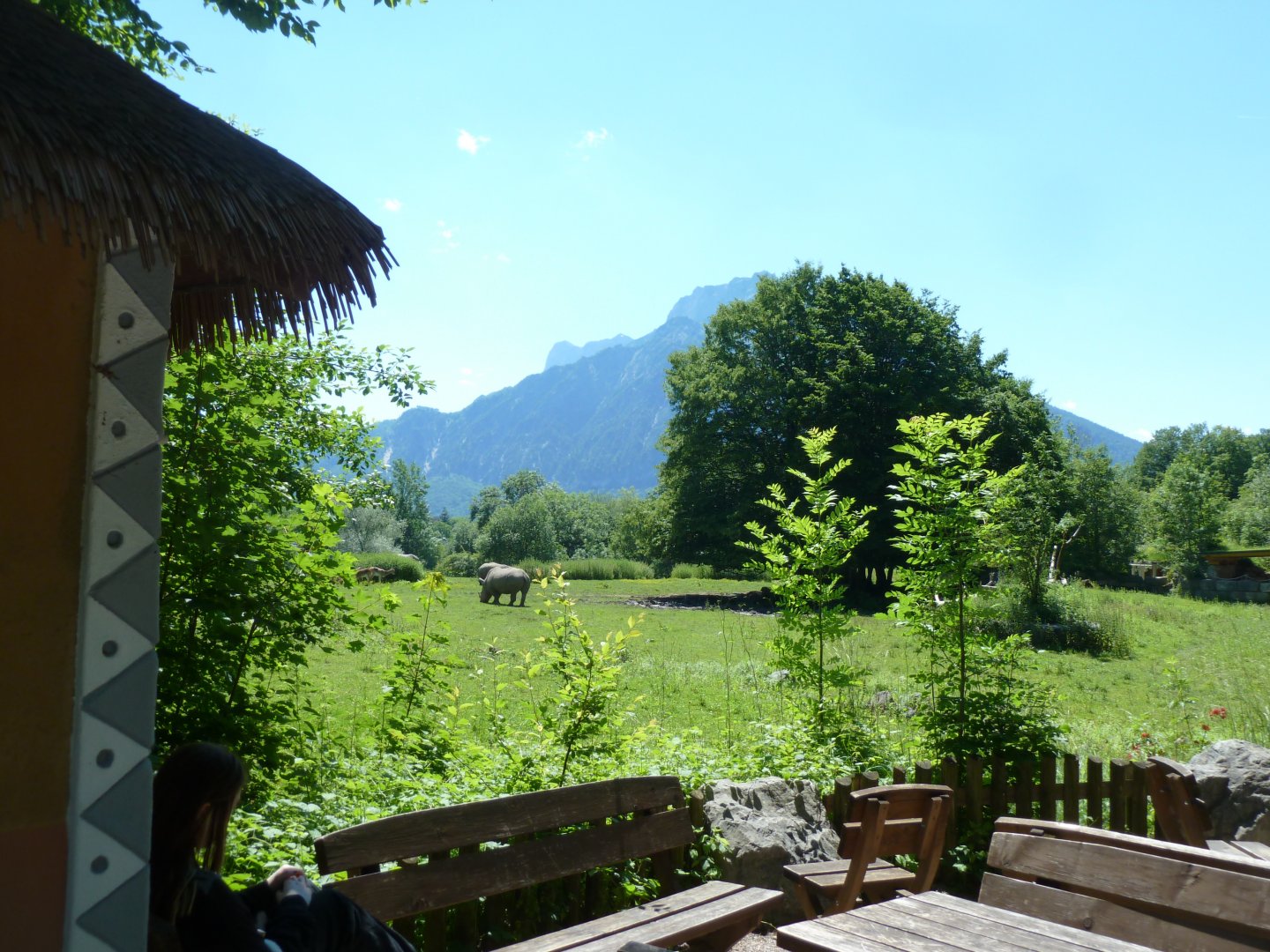African savanna seen from Lion house viewing point