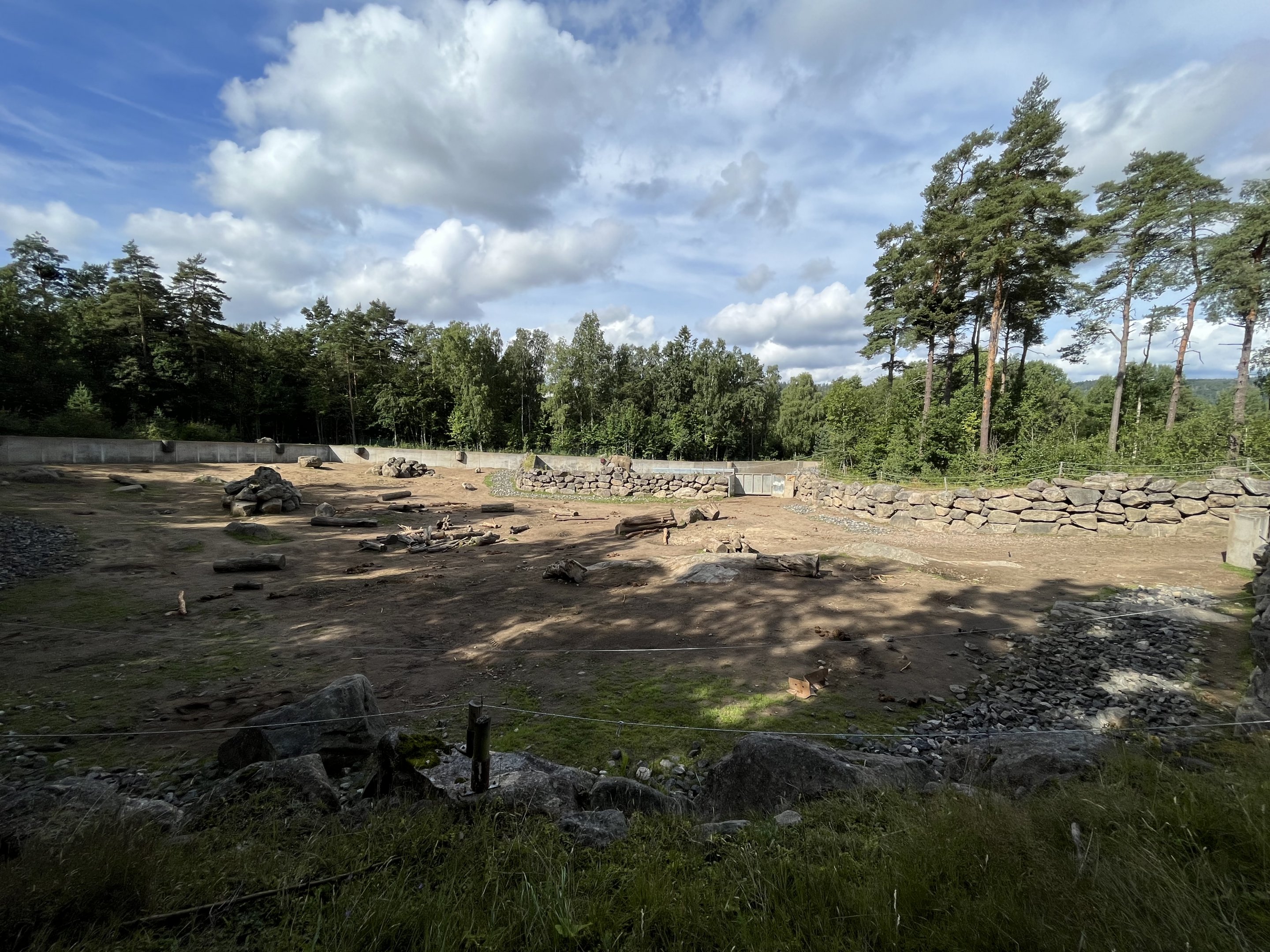 African Savanna - side yard