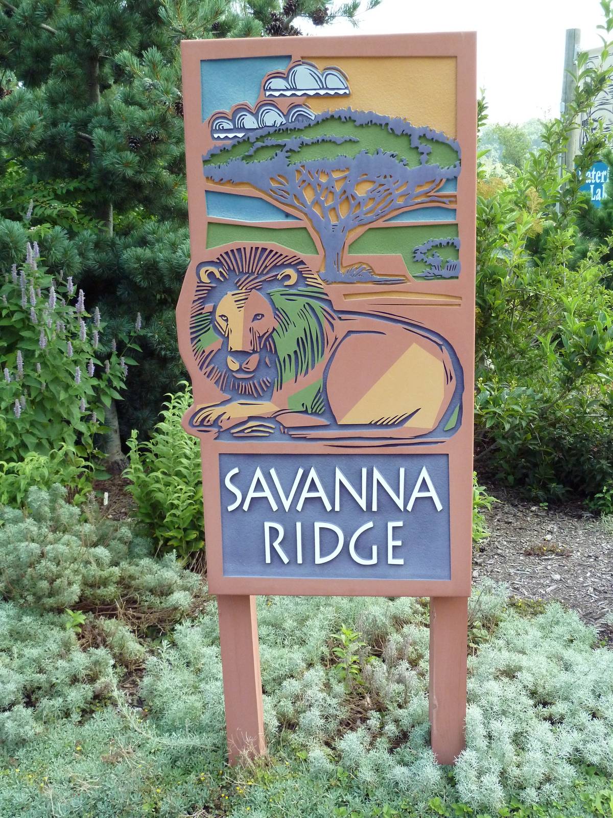 African Savanna - Sign