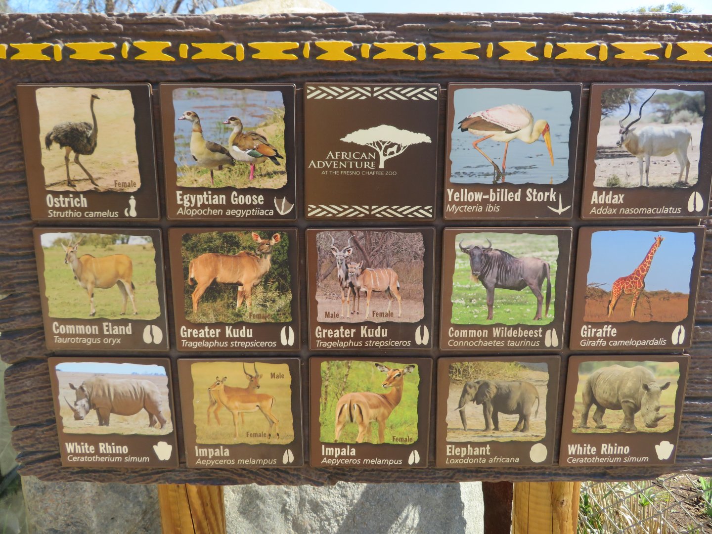 African Savanna Signage