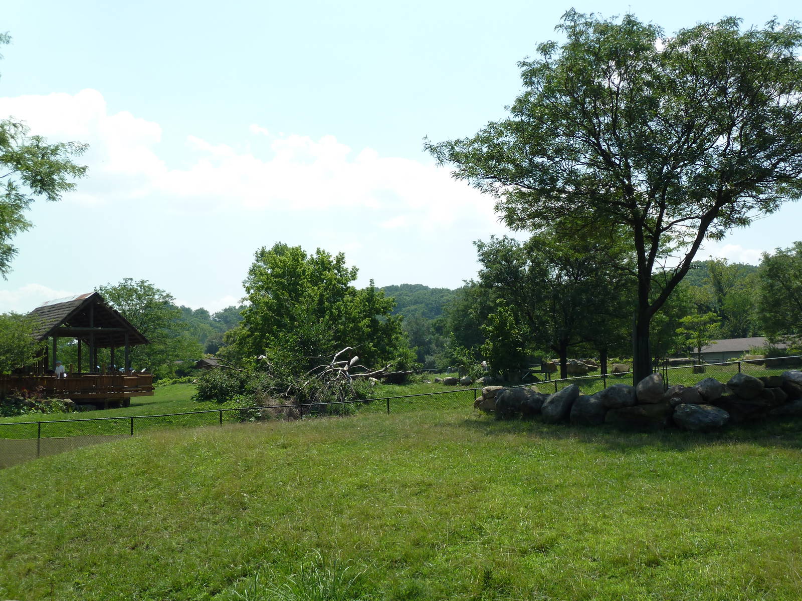 African Savanna - Slender-Horned Gazelle/Ostrich Exhibit