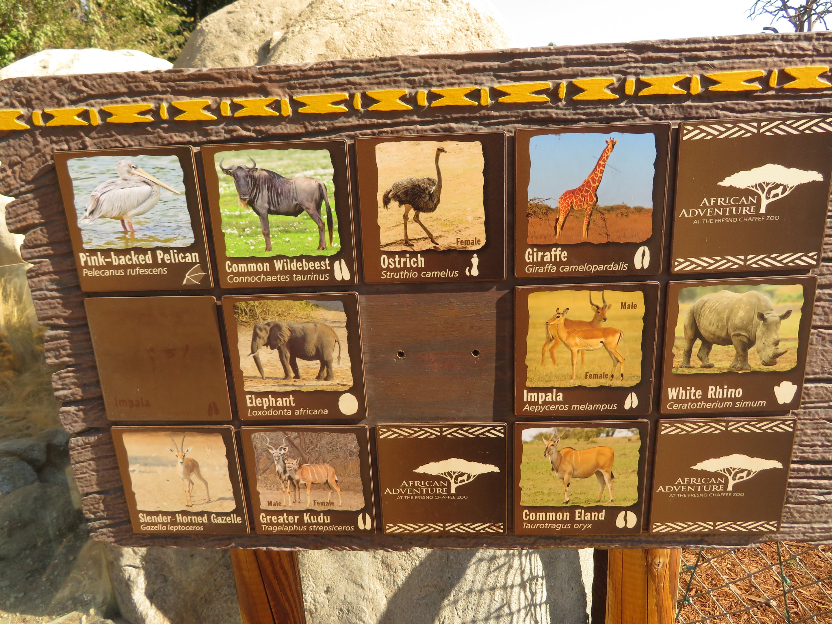 African Savanna Species Sign 1