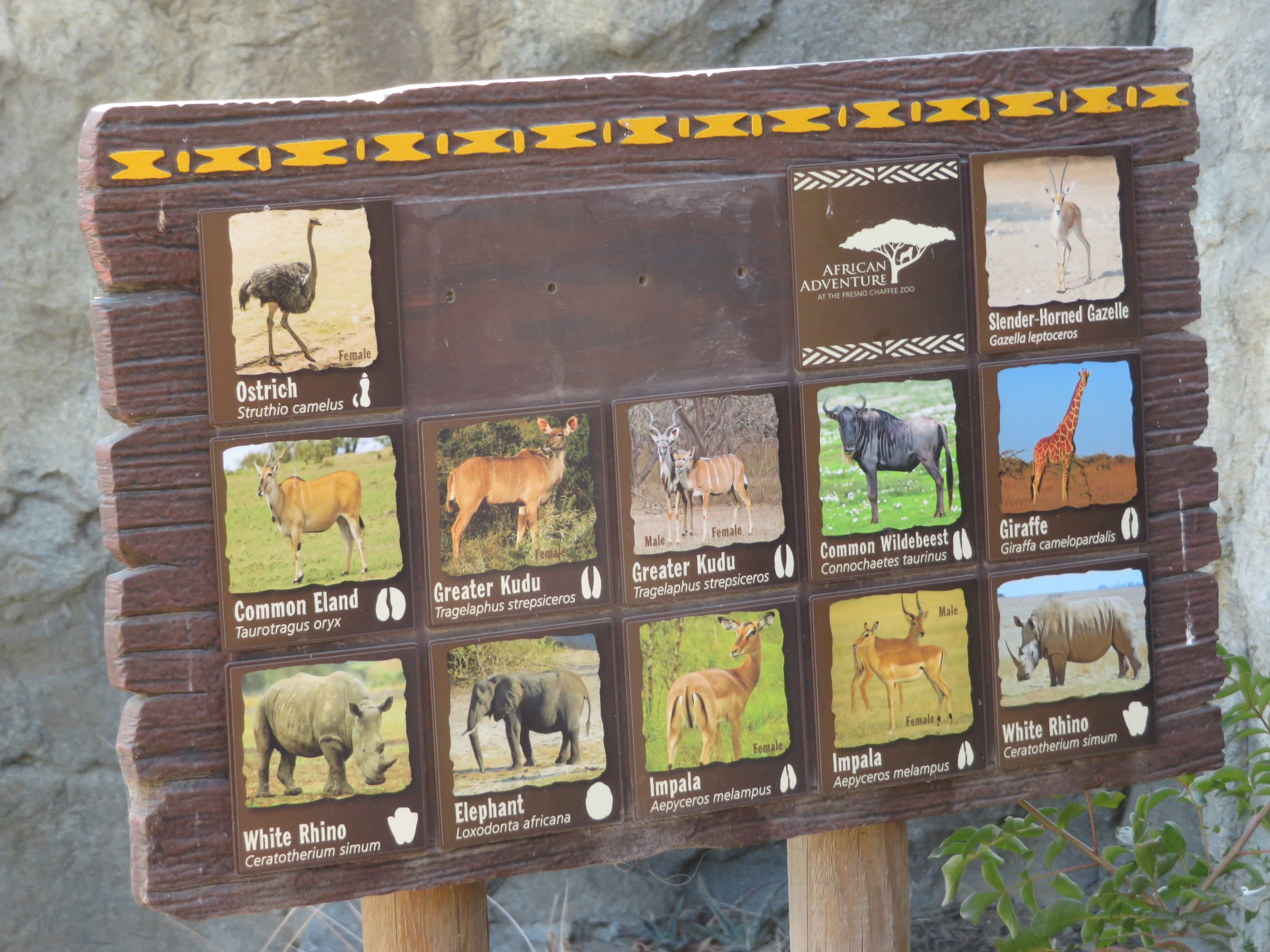 African Savanna Species Sign 2