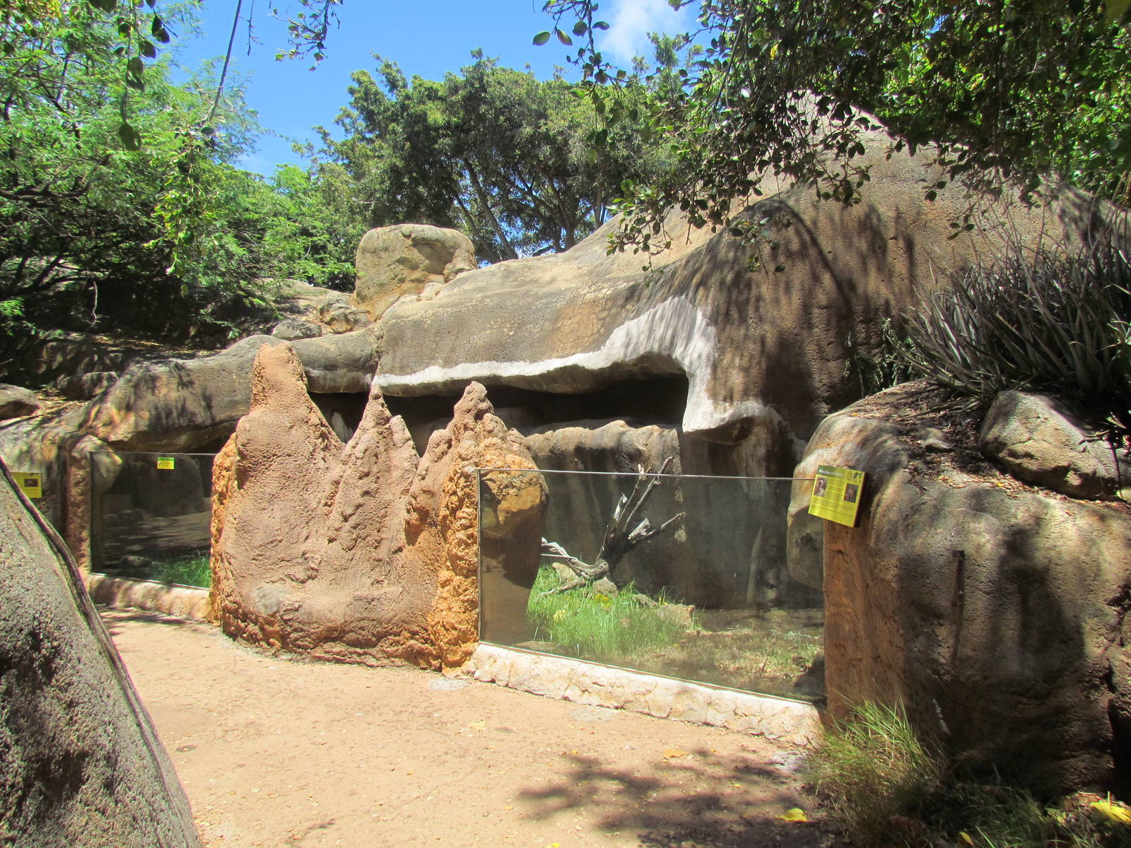 African Savanna - Spurred Tortoise Exhibit