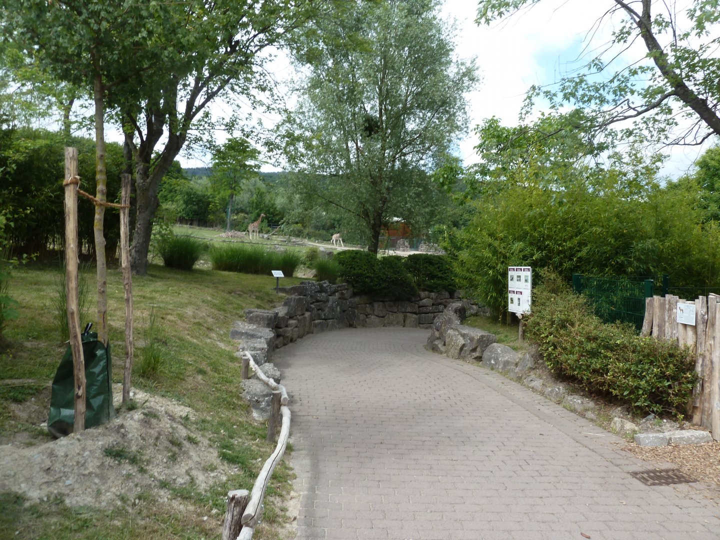 African savanna - start of the canyon walk