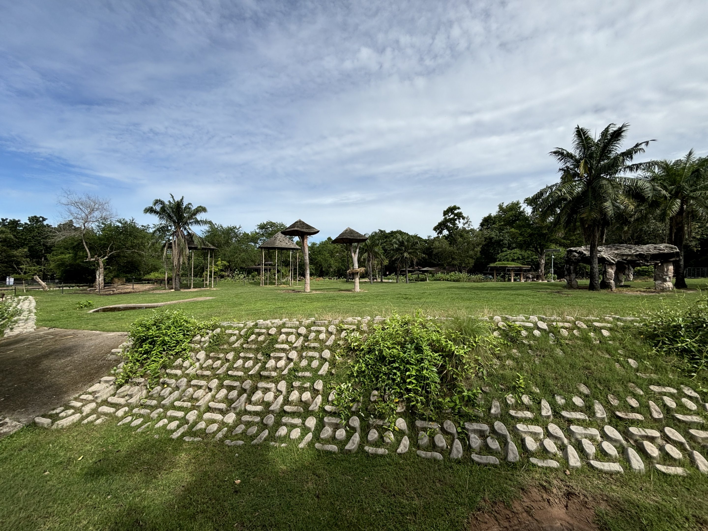 African Savanna - stunning!