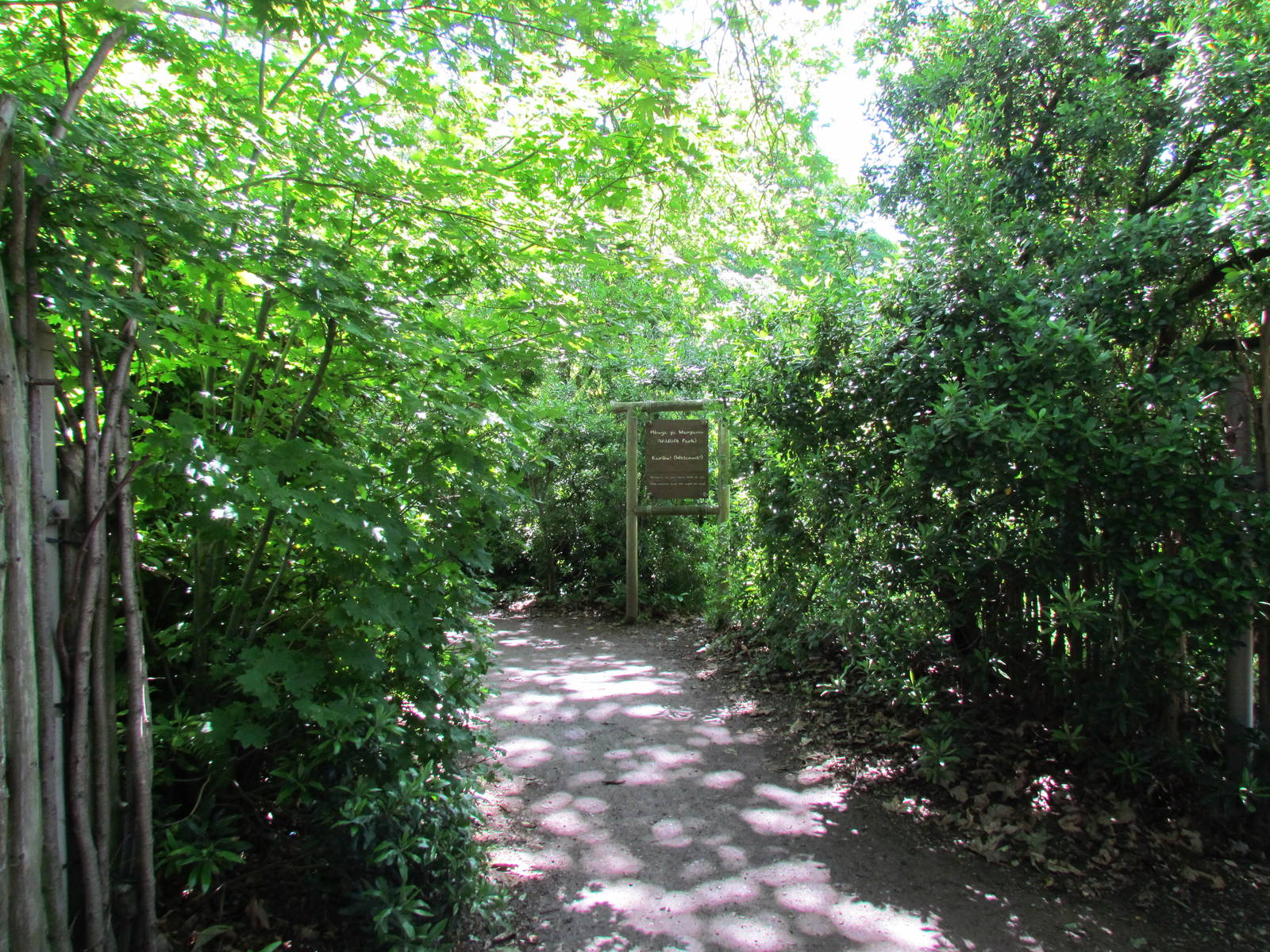 African Savanna - Trail