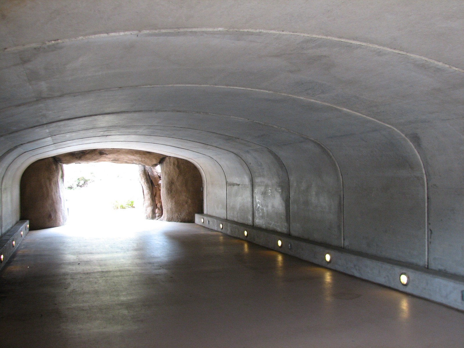 African Savanna - Tunnel