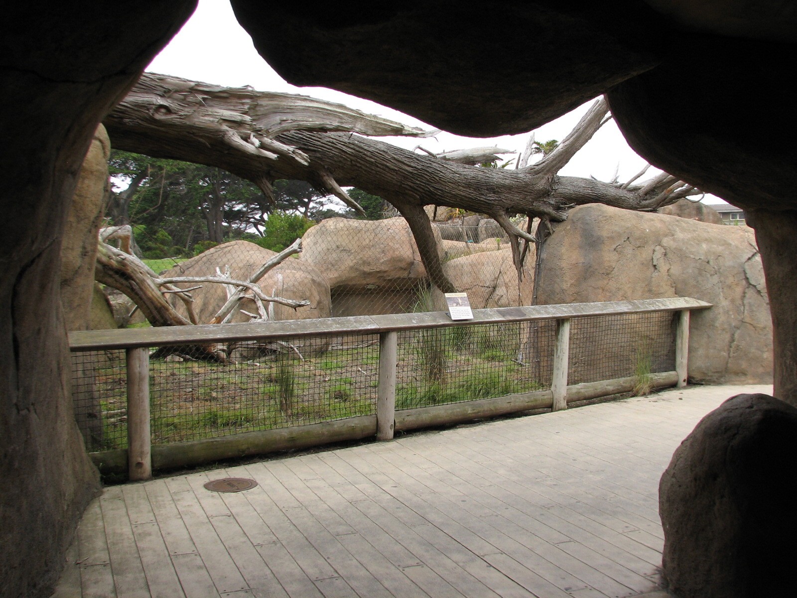 African Savanna - Tunnel