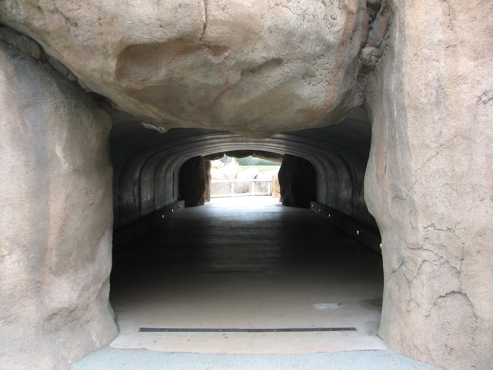 African Savanna - Tunnel