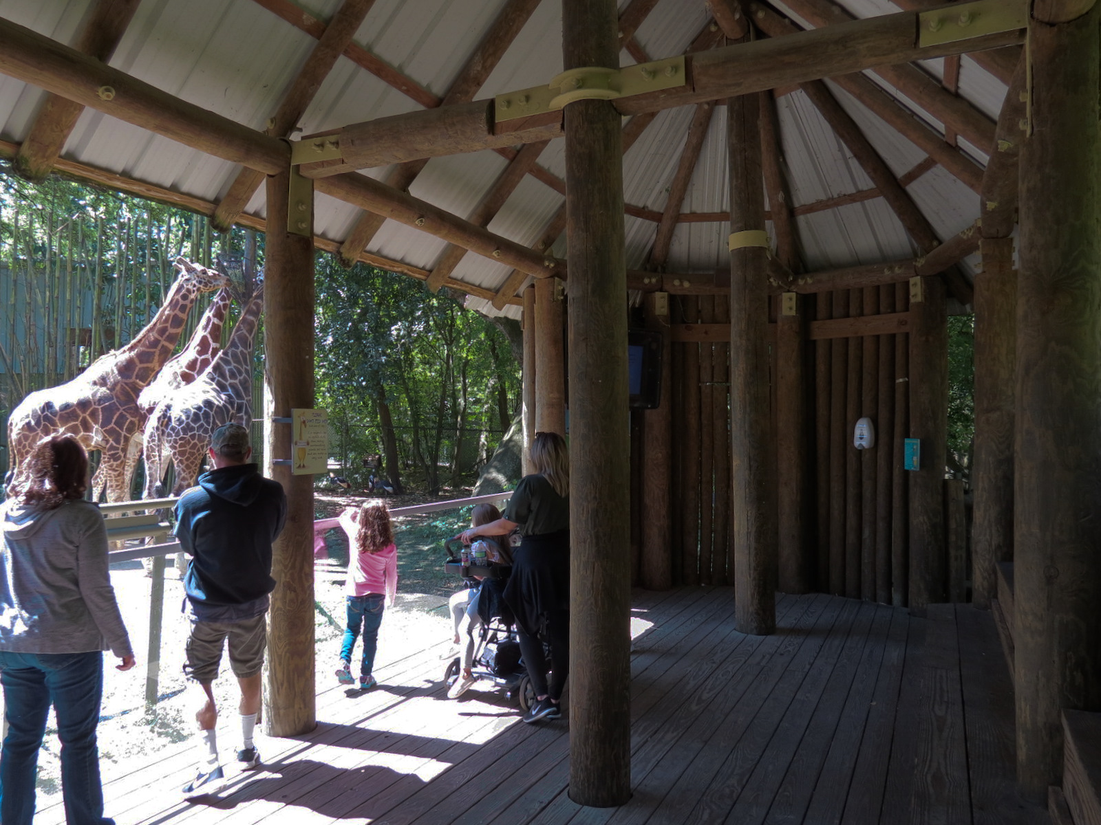 African Savanna - Twiga Terrace - Viewing Area