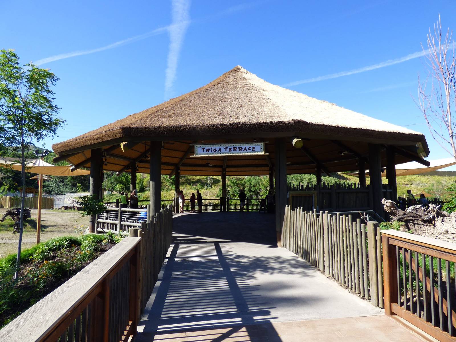 African Savanna - Twiga Terrace