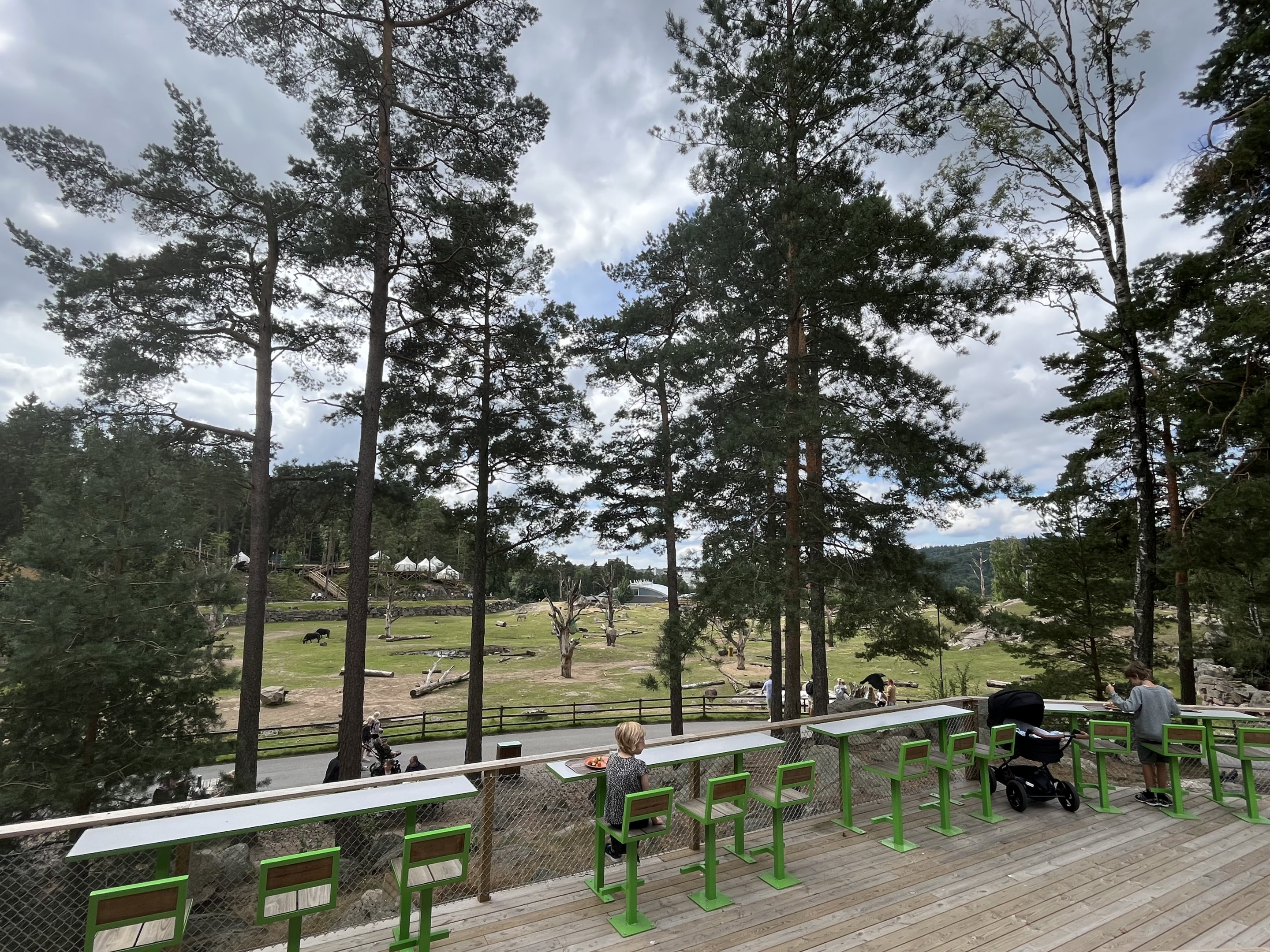 African Savanna - view from restaurant
