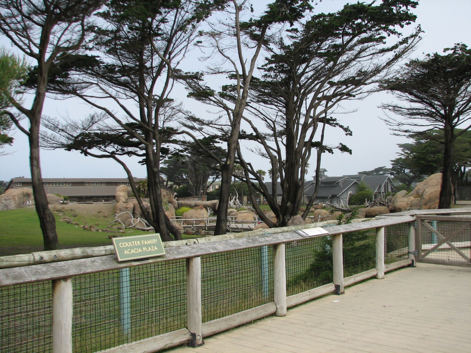 African Savanna - Viewing Deck