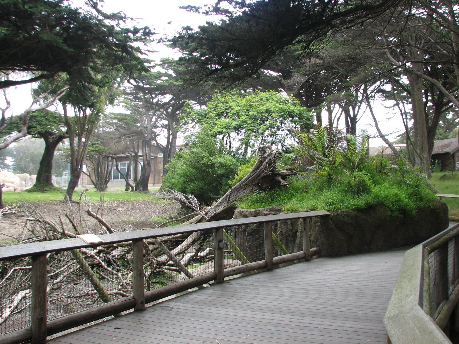 African Savanna - Viewing Deck