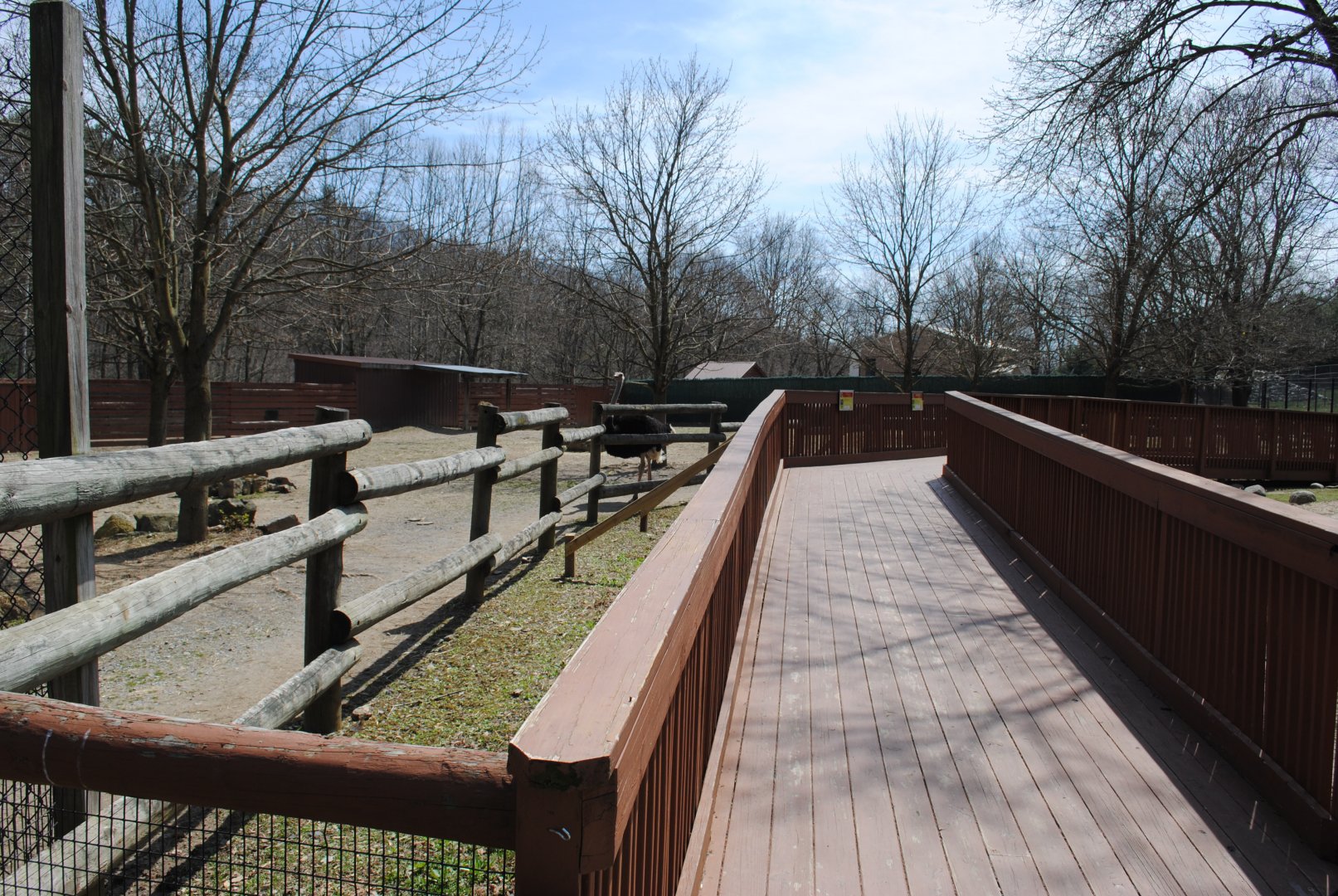 African Savanna Viewing Deck