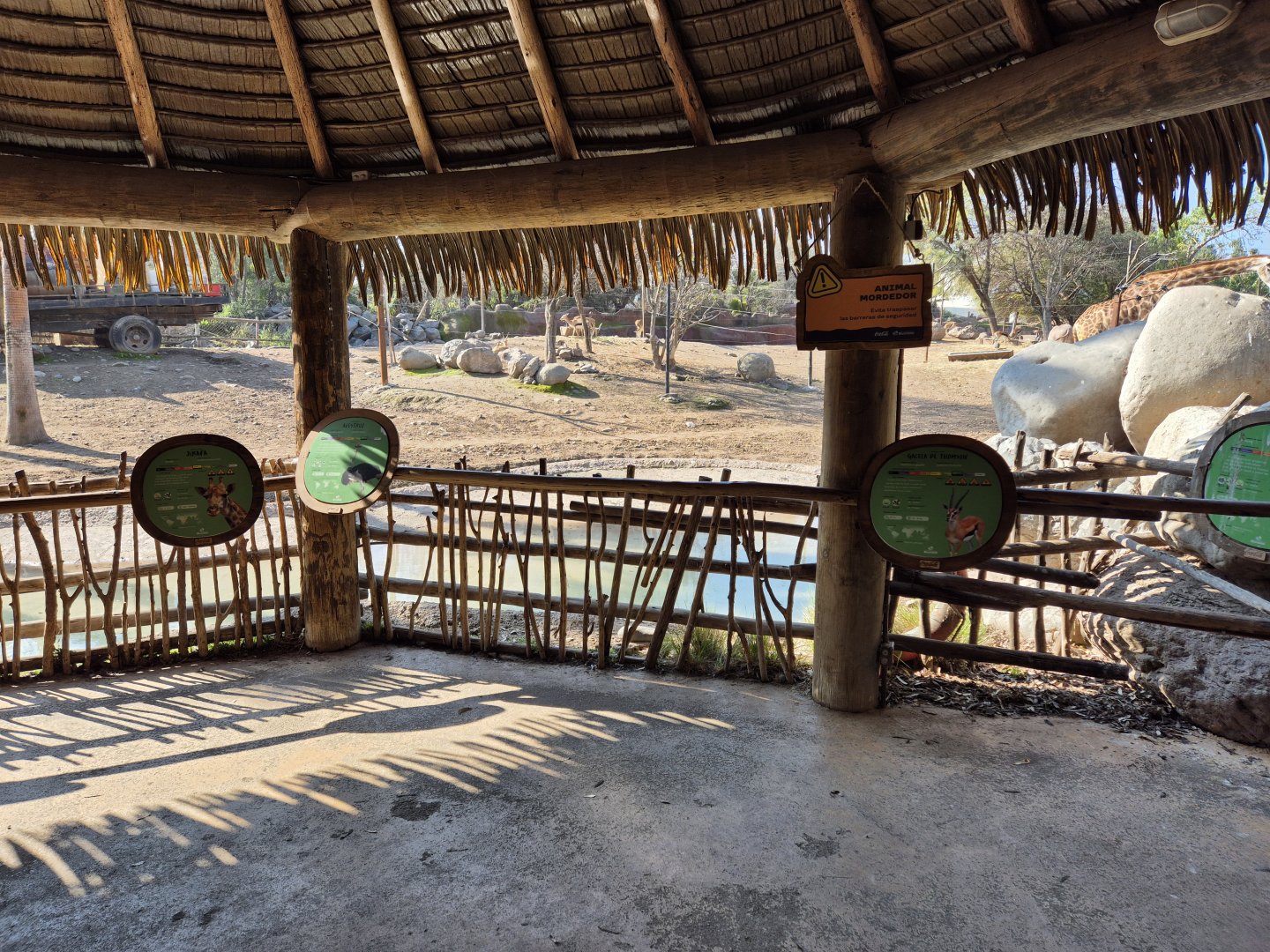 African Savanna viewing point