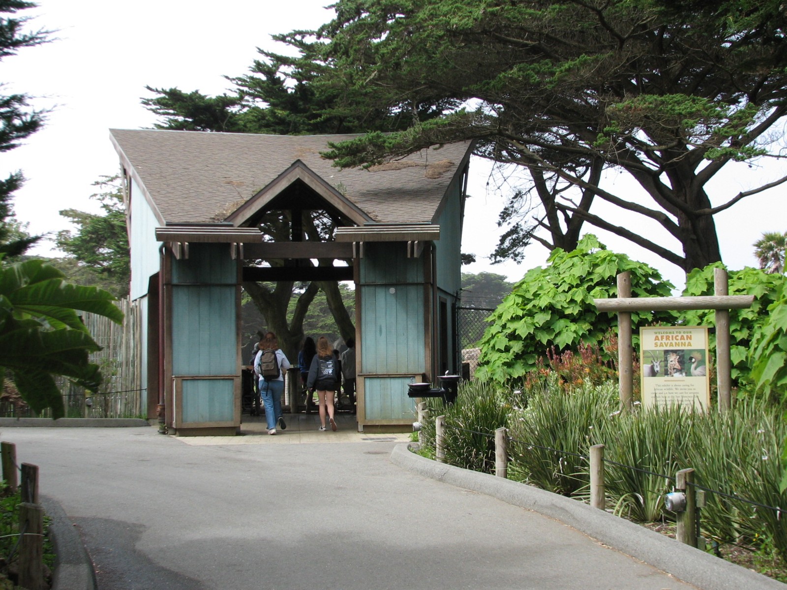 African Savanna - Viewing Shelter