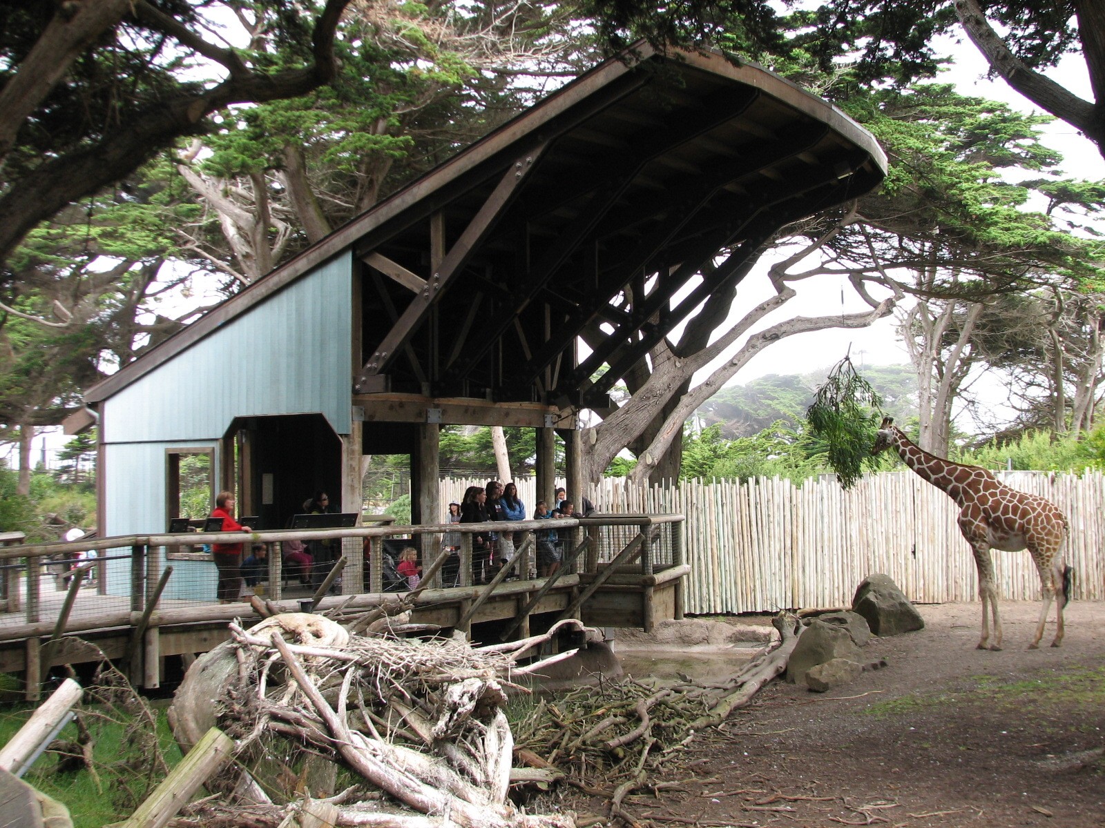 African Savanna - Viewing Shelter
