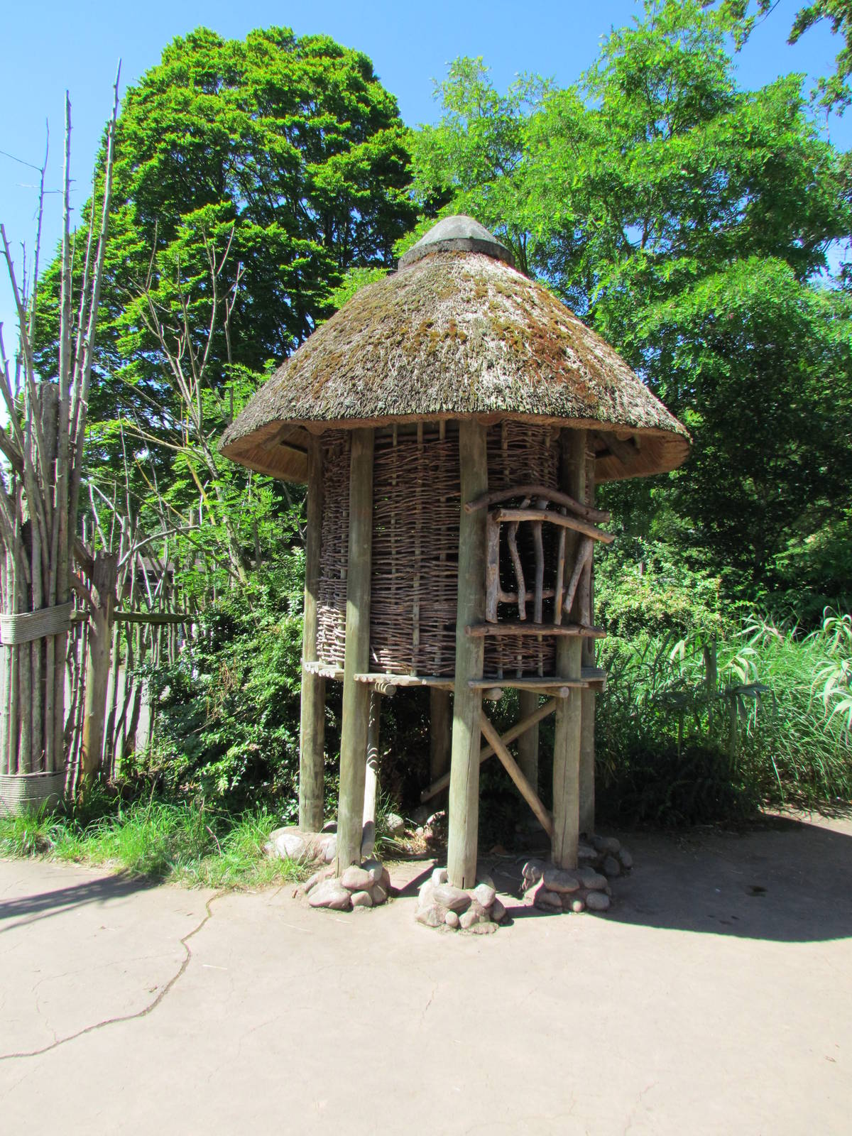 African Savanna - Village Grainary