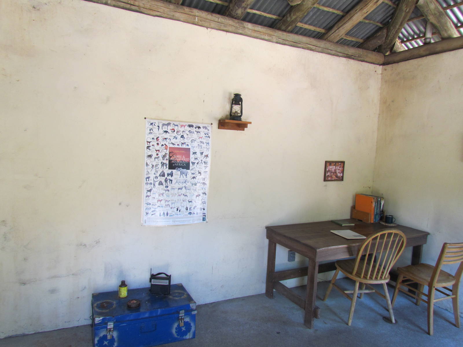 African Savanna - Village House